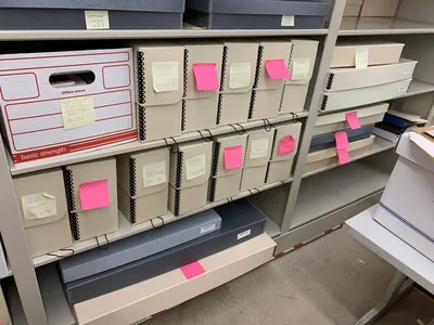 Shelves of gray archival boxes with pink labels, the collection in storage